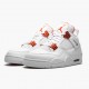 Air Jordan 4 Retro Metallic Orange Women/Men Jordan Sneakers CT8527-118 Air Jordan 4 Retro Metallic Orange Women/Men Jordan Sneakers CT8527-118