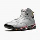 Air Jordan 7 Retro Reflections of A Champion Men Jordan Sneakers BV6281-006